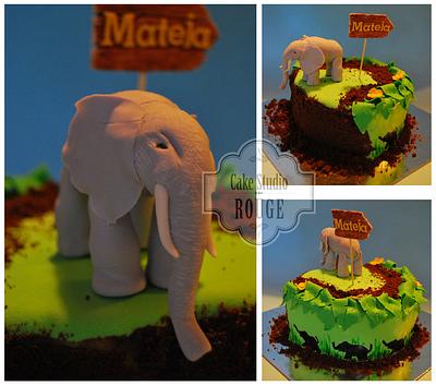 Elephant cake - Cake by Ceca79