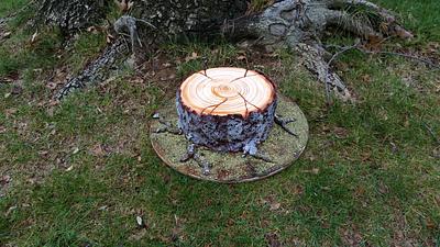 Lumberjack cake - Cake by Lauren Cortesi
