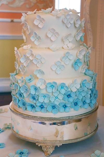 Pale Blue Ombre Wedding Cake - Cake by EnriqueHaveCake