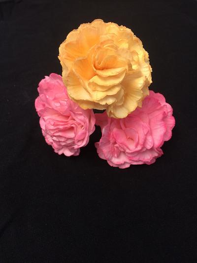 Carnations, peonies And rose - Cake by Joanne genders