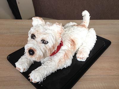 3 D dog cake - Cake by Jasmin Kiefer