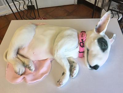 Sleeping Bull Terrier - Cake by tvbhouston