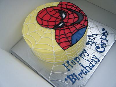Spider-man - Cake by Valley Kool Cakes (well half of it~Tara)