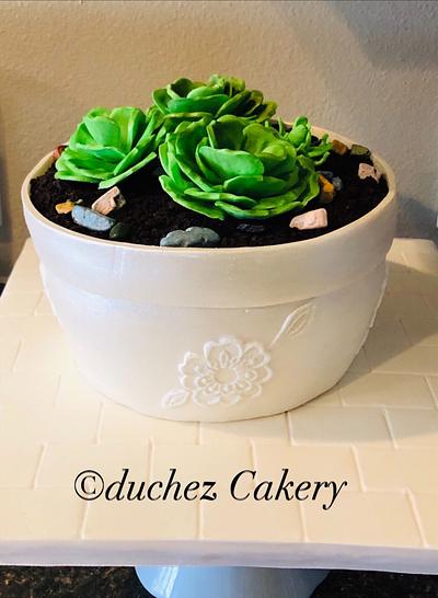 Flower pot cake with succulent sugar flowers  - Cake by Duchez Cakery 