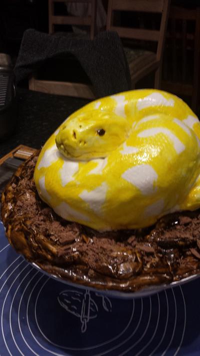 Burmese Snake Cake - Cake by Vicky