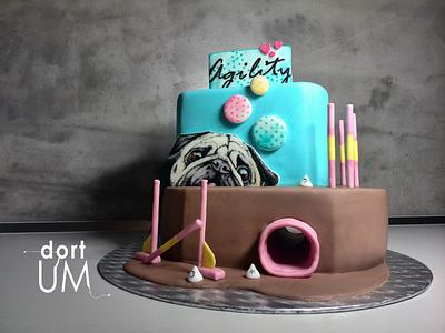 Agility cake - Cake by dortUM