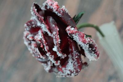 Winter rose - Cake by Marinela Muresan