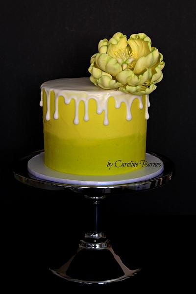 Two tone drizzle cake - Cake by Love Cake Create