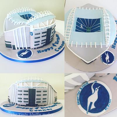 Brighton and Hove Amex Stadium  - Cake by Andrea 