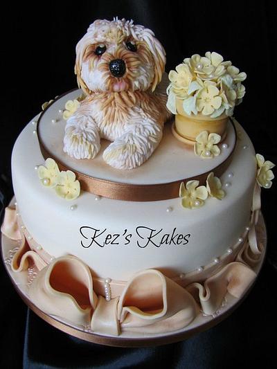 Cute 'Daisy' the Lhasa Apso Dog and Flowerpot Cake. - Cake by Kerry Rowe