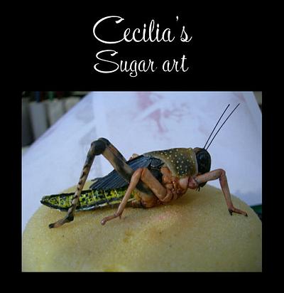 Locust made of sugar - Cake by Cecilia