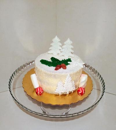 Snowy - Cake by Dari Karafizieva