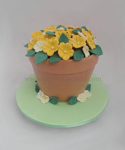 Flower Pot Cake - Cake by ChristolasCakes
