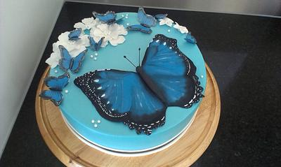 Butterfly cake - Cake by Claudia Kapers Capri Cakes