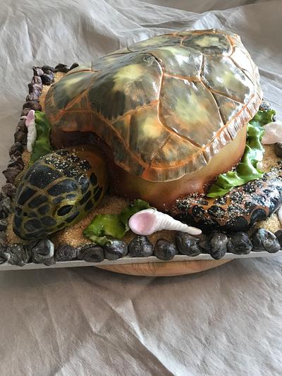 Sea turtle illusion cake - Cake by Helen35