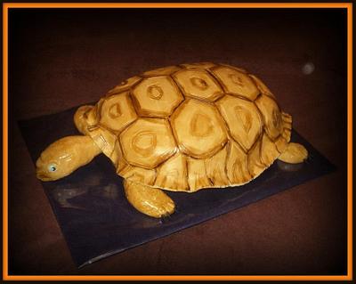 Big turtle - Cake by trbuch