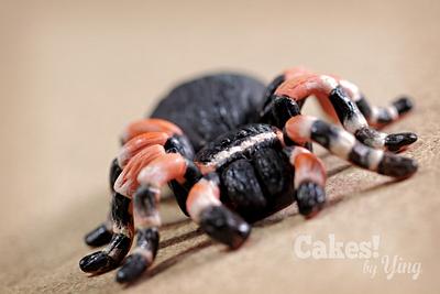 Tarantula Spider topper - Cake by Cakes! by Ying