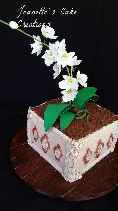 Sugar orchid cake - Cake by Jeanette's Cake Creations and Courses