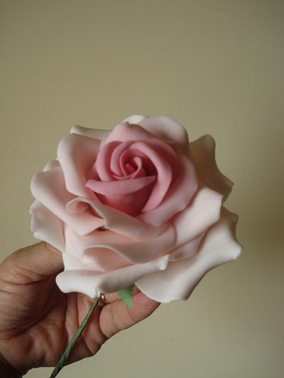 My rose - Cake by Paula Rebelo