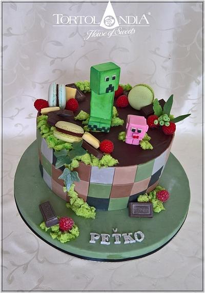 Minecraft cake - Cake by Tortolandia
