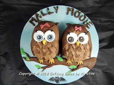 Two Hoots Too - Cake by Christine Ticehurst