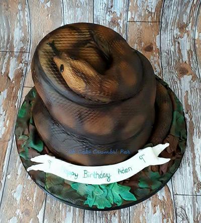 3d Coiled Snake - Cake by Oh Cake Crumbs 