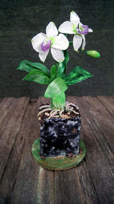 Orchid Plant and flowers  - Cake by Daniel Guiriba
