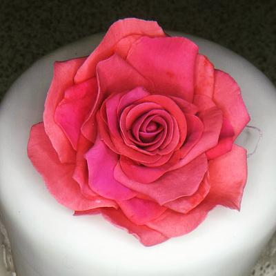 Simple cake with large garden rose  - Cake by My Little Cake Studio 
