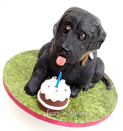 Bailey the Black Labrador (and progress shots) - Cake by The Rosehip Bakery