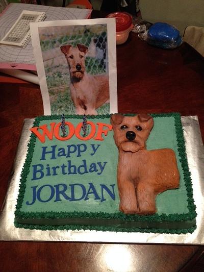 Jordan's Cake - Cake by Terry Campbell