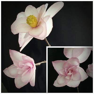 magnolia flowers - Cake by noumika