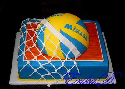 volleyball - Cake by Derika