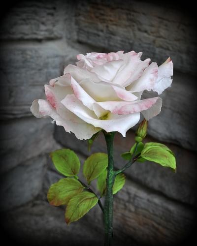 Blushed Rose - Cake by Sandra Smiley