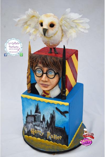 CPC HOGWARTS CHALLENGE 2017- HARRY AND HEDWIG - Cake by Sarahy Millán