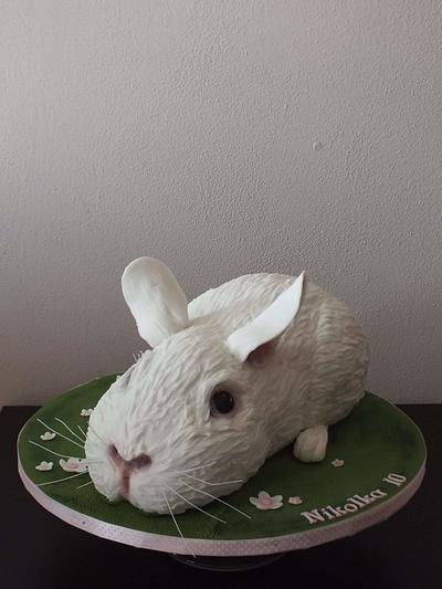 Bunny - Cake by Janeta Kullová