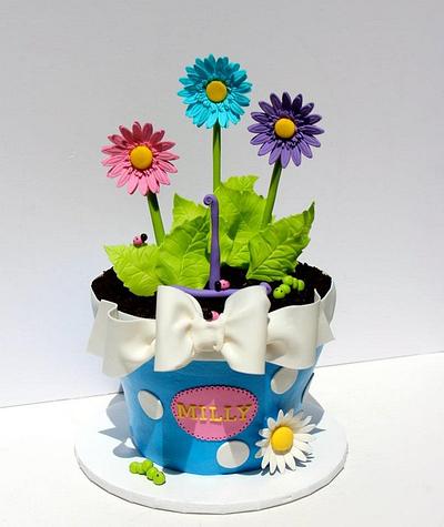 Flower pot of Daisies - Cake by Kerrin