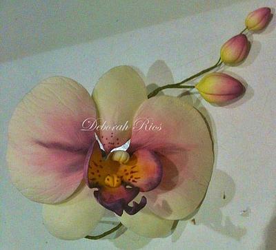 Phalenopsis orchid for a cake - Cake by Sugared Inspirations by Debbie