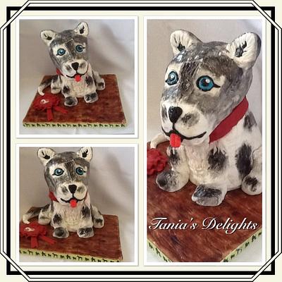 Best in show - Cake by Tania's Delights