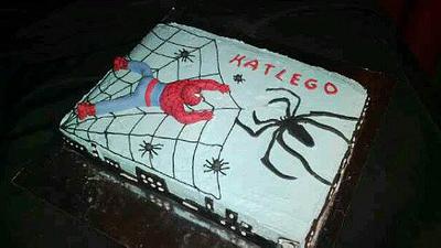 Spiderman Cake - Cake by Lola