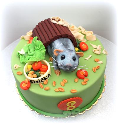 guinea pig - Cake by Lucie Milbachová