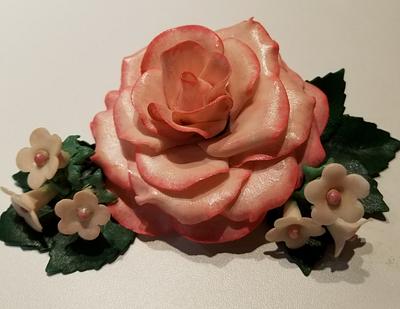 Sugar rose with filler flowers - Cake by Eicie Does It Custom Cakes