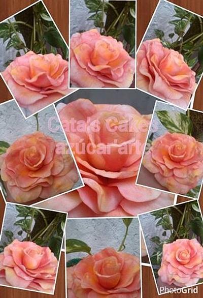 free form dusted rose - Cake by Catalina Anghel azúcar'arte