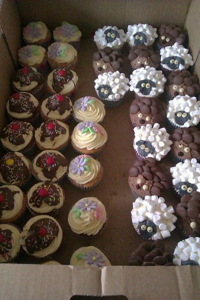 A selection of cakes I made today - Cake by Ashdan