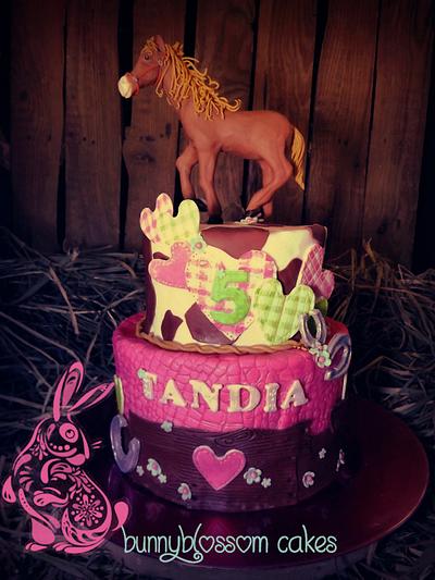 Cowgirl cake - Cake by BunnyBlossom