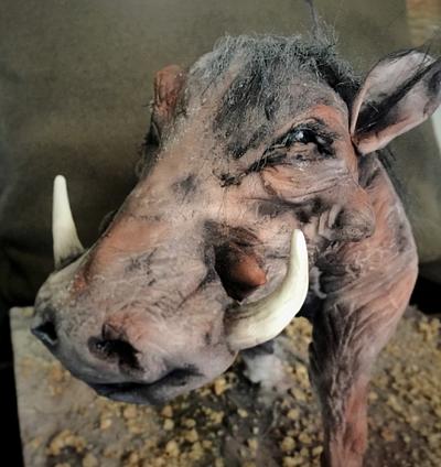 Warthog cake for the World Animal Day Collab - Cake by Dorothy Klerck