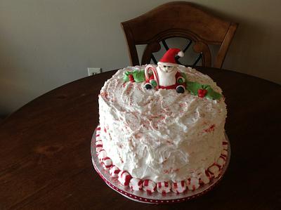 santa cake - Cake by Crystal Gail Smith