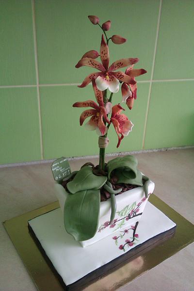 Orchidea - Cake by Zuzkine Dortíky