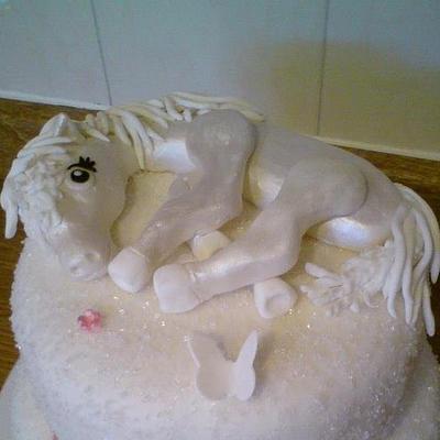 Pony Cake With Sugar Crysrals - Cake by Sheena Barker