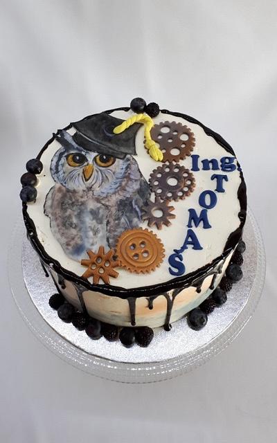  The promotion - painted owl - Cake by Kaliss