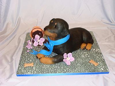 Rotti Puppy - Cake by Naturepixie